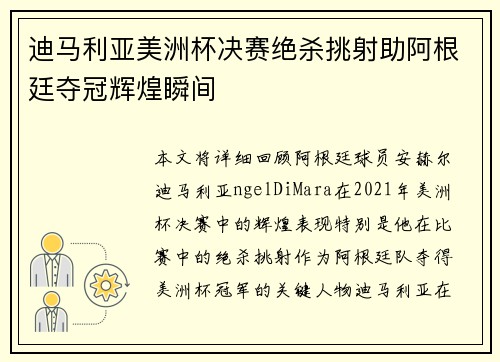迪马利亚美洲杯决赛绝杀挑射助阿根廷夺冠辉煌瞬间